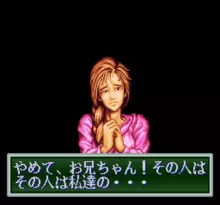 Image n° 5 - screenshots  : Ryuuko no Ken 2